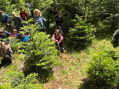 Škola v přírodě- 11. 6. 2025