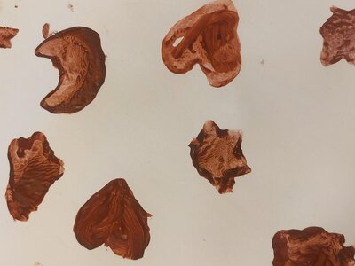 Výtvarná výchova - 3. 12. 2025