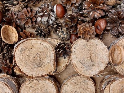 Pracovní činnosti 12. 12. 2025