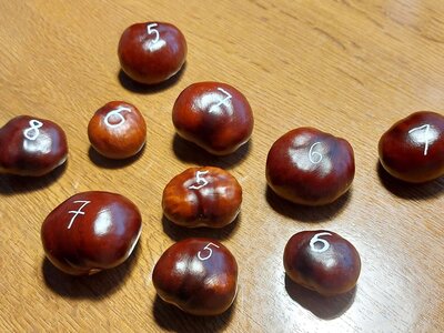 Kaštánkový den - 1. 10. 2026