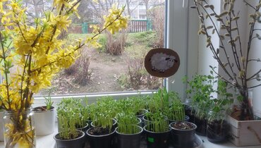 Výuka - učivo v týdnu od 7. 4. - 10. 4. 2026