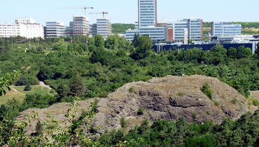 Projektový den Zdravá Mendelka